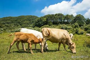 WhoScored英超赛季至今最佳阵：奥纳纳守门，孙兴慜、阿诺德入选